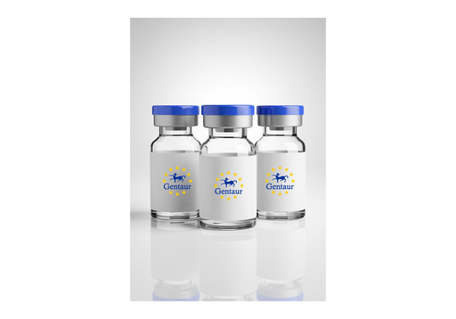 [GEN-HEAL-40] Seamless Cloning by HEAL